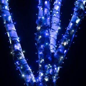Pro Connect 50m 500er LED Lichterkette blau weiß koppelbar schwarzes Kabel